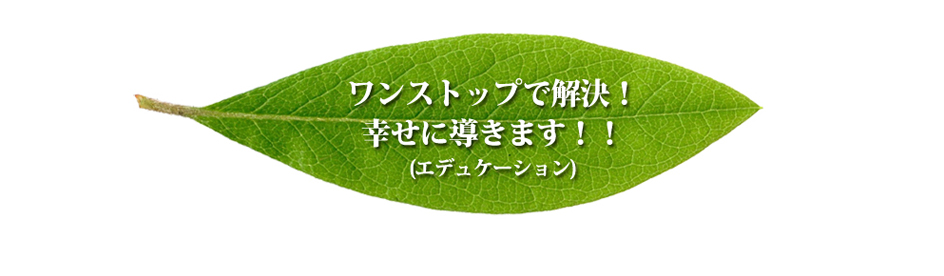 ワンストップで解決！幸せに導きます！！(エデュケーション)